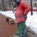 Скульптура « Серый Волк» в городе Раменское