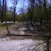 Езеро in Ямбол city