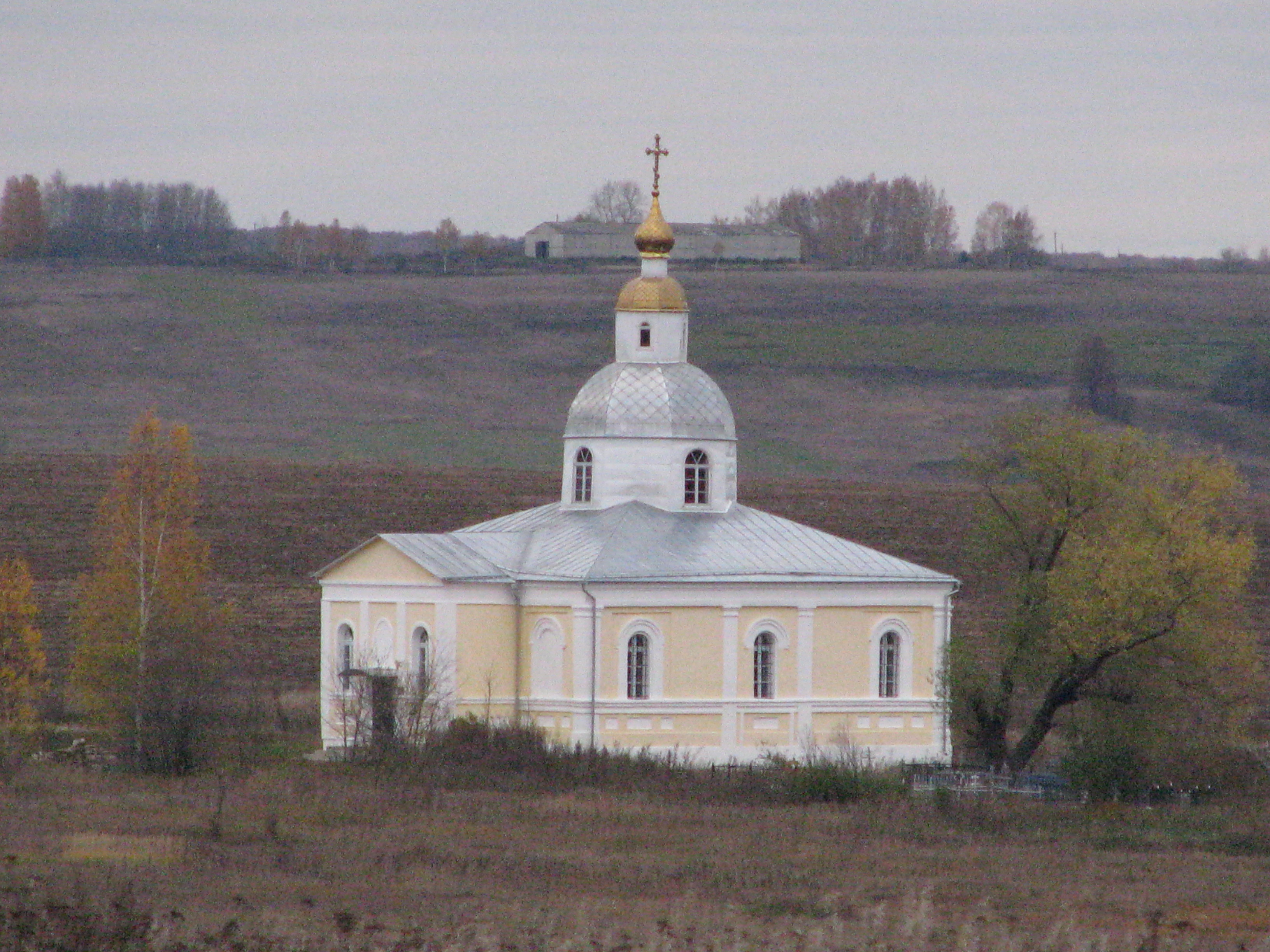 Никольский храм, д Мишино, Зарайский район