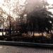 Древо российской культуры в городе Москва
