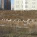 Снесённый недостроенный корпус МПГУ в городе Москва