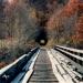 Great Allegheny Passage - Pinkerton High Bridge