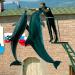 Адлерский дельфинарий в городе Сочи
