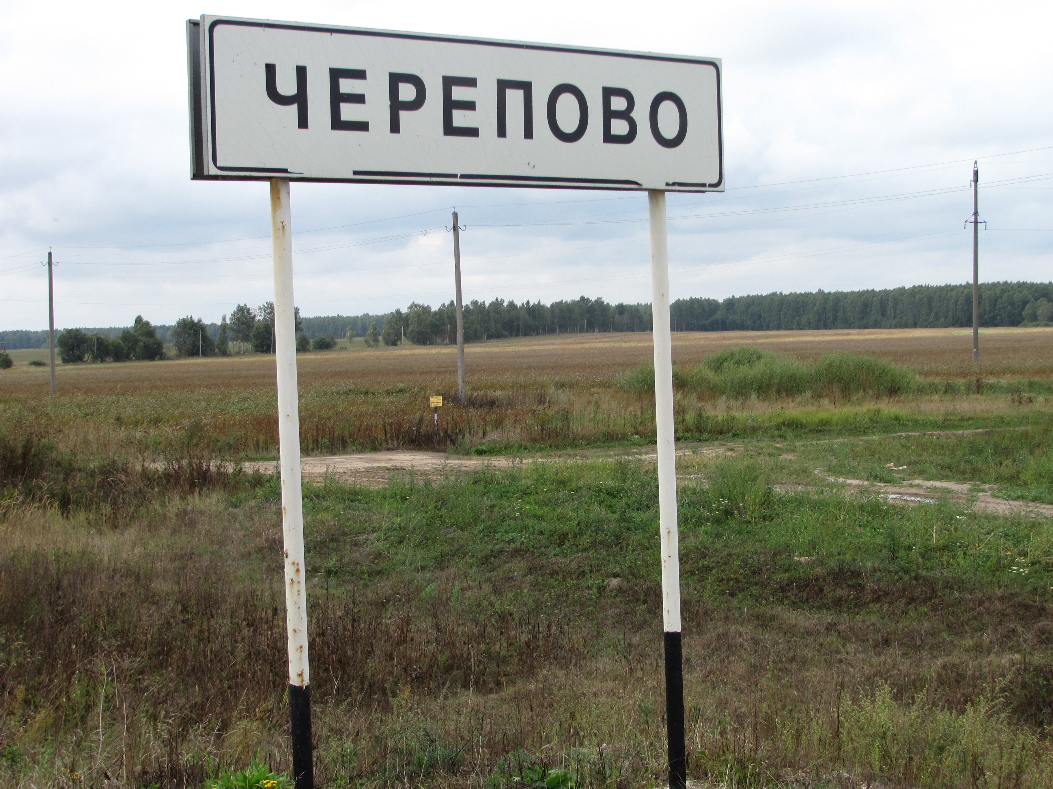 Деревня Черепово Судогодский район