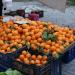 Вторничный продуктовый рынок / Tuesday Food Market