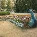 Сквер в городе Дзержинск