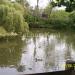 Riversley Park Pond