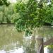 Riversley Park Pond