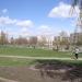 Аллея в городе Вишнёвое