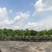 Buddha statues in Plaosan Lor temple complex in Klaten city