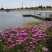 Hidden Lake Park in Milpitas, California city