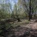 Остатки Капотнинского оврага в городе Москва