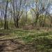 Остатки Капотнинского оврага в городе Москва
