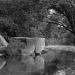 Big Rock in Louisville-Jefferson County, Kentucky city