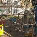 Территория детского сада № 457 в городе Москва