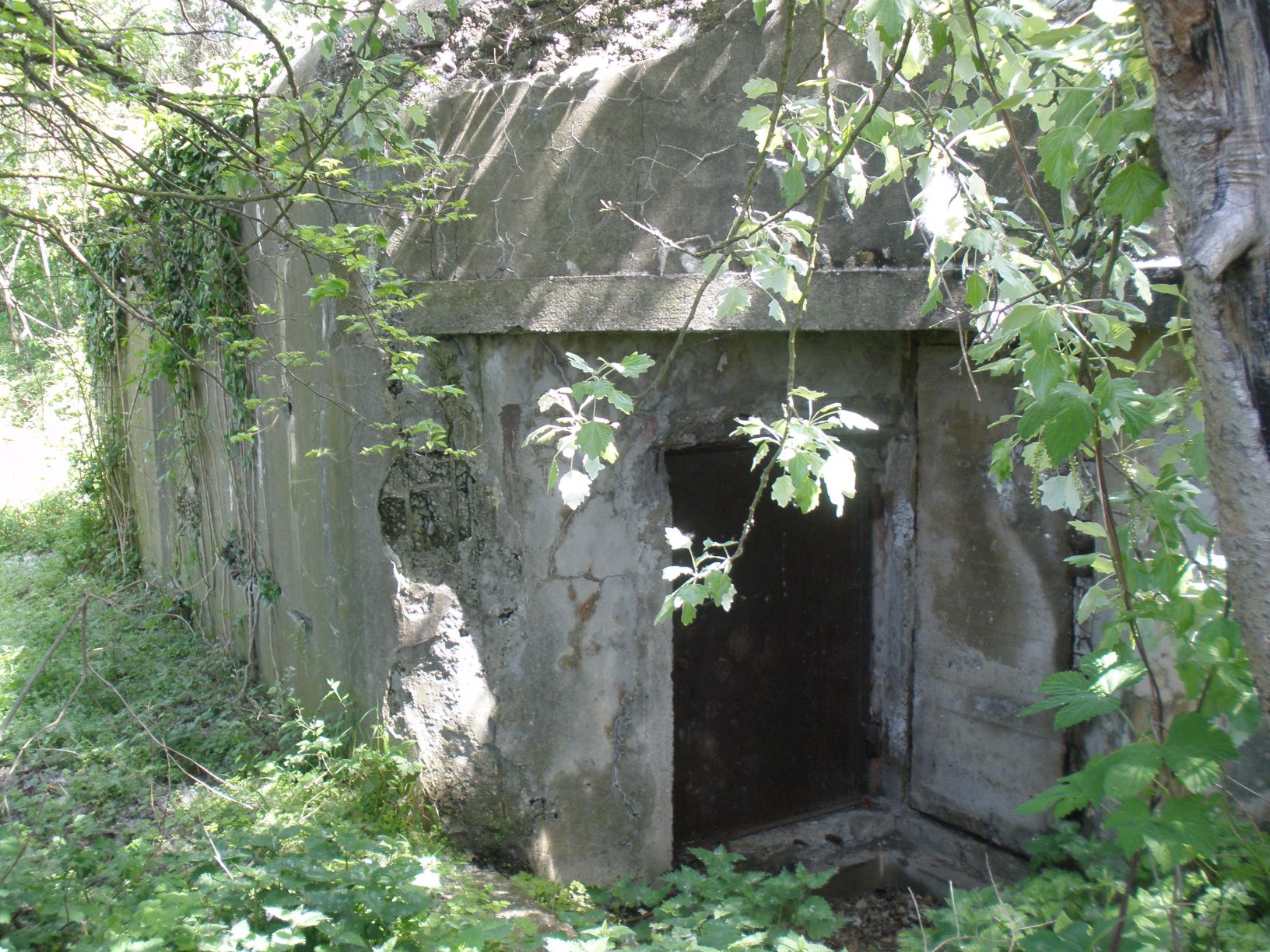 Double Crime Sur La Ligne Maginot Casemate Musau (Ligne Maginot) - Strasbourg
