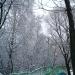 Пешеходный мост через реку Яузу в городе Москва