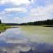 Beaver Meadows Lake