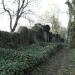 old jewish cementery