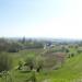 Gruczno