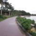 Bird Island in Hung Yen city city