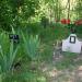 Pet cemetery in Chişinău city