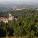 Bussaco Nationalwald