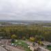Берёзовая роща в городе Москва