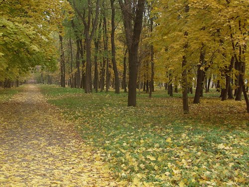 Парк Авиаторов - Ростов-на-Дону