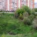 Часть оврага, отделённая теплотрассой в городе Москва