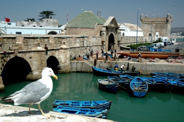 chat rencontre rabat