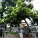Hien Pagoda in Hung Yen city city