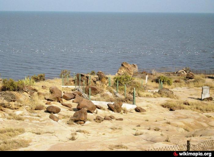 world's largest fossil park