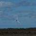 Goonhilly Wind Farm