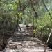 Paraiso de los Manglares.  The Mangrove Paradise