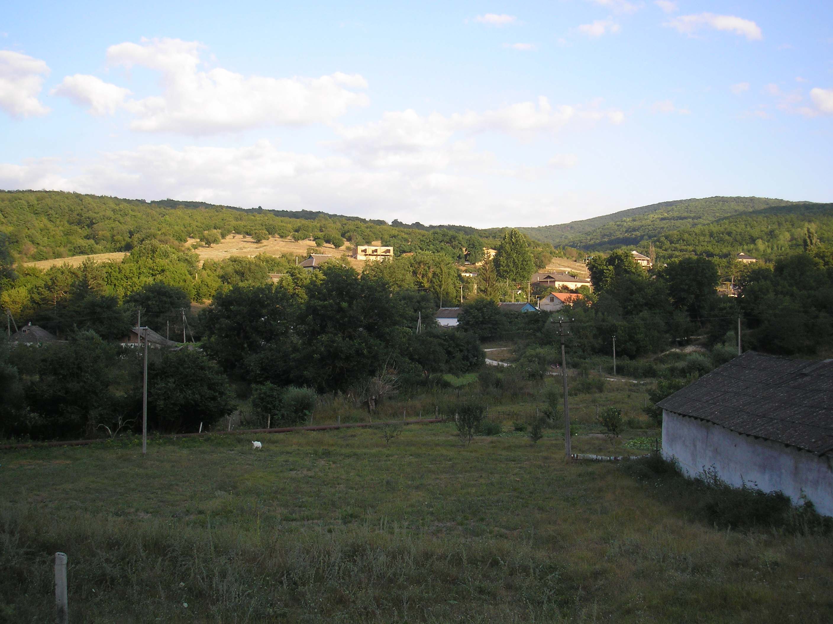 Novoulyanovka/Novoulianovka