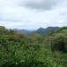 Parque Nacional Guatopo