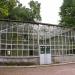 Former greenhouse in Strysky park