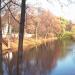 Cheryomushkinsky (Shabolovsky) Pond