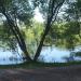 Пруд в городе Красногорск