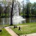 Pond with fountain