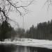 Нерестилище форели (ru) in Imatra city