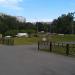 Цветник в городе Москва