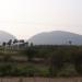 Narasingapalli
