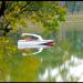 Lake in Rustavi city