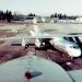 Lockheed C-141B StarLifter