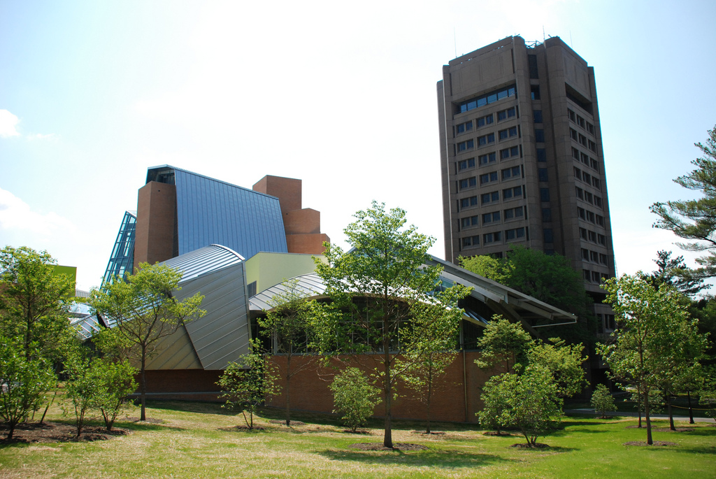 Lewis library