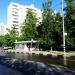 Автобусная остановка «Бирюлёвская ул., 58» в городе Москва