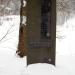 Памятник поэтессе Эдит Сёдергран в городе Рощино