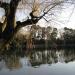 Shakuji Pond (Shakuji-ike) in Tokyo city